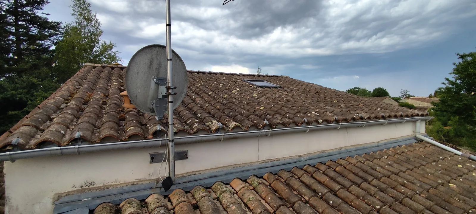 Toiture couverte de lichens avant nettoyage